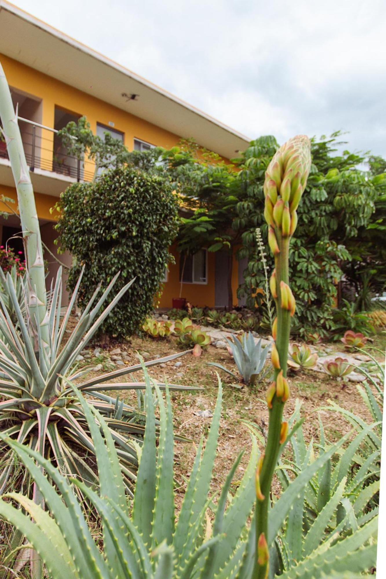 Hotel Guiva San Pablo Hacienda Blanca Buitenkant foto